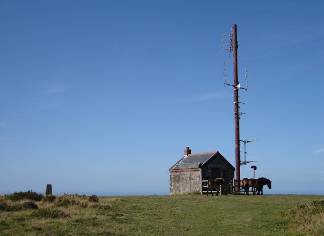 Butter Hill TV Relay Station,Trig pillar and Exmoor Ponies