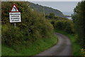 Road near Ballystrudder, Islandmagee