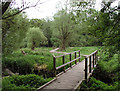 Boardwalk, Warnham Nature Reserve