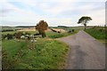 Upper Lynemore farm in the hollow