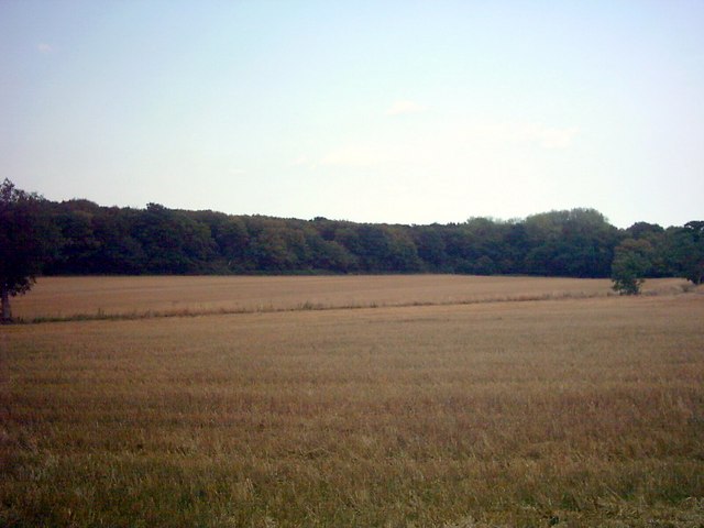 Coe Wood & fields