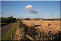 Swailend Farm and pylons at harvest time