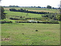 SP4229 : Grange Farm pond by David Stowell