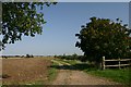 Footpath to Norton Little Green