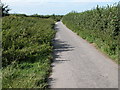 Disused lane to Dyer