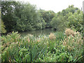 Pond by Ettridge Farm