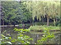 Lake at Cherryhill, Cuddington-by-Malpas