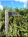 Signpost for green lane