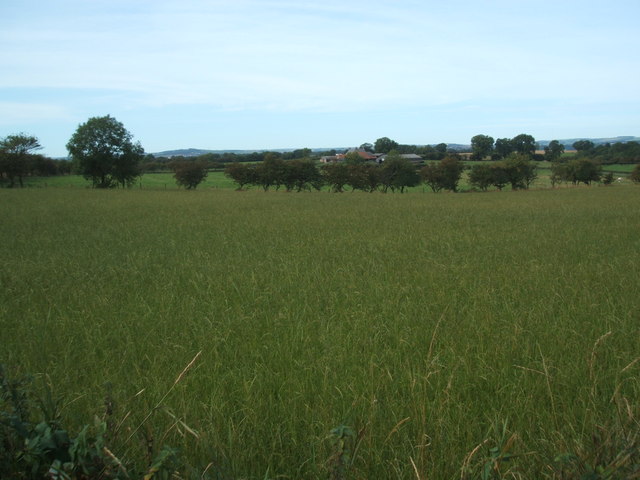 Farmland southeast of Whitwell East House Farm