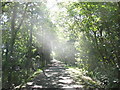 Lon Eifion Cycle Route South of Groeslon