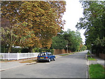 TQ4268 : Bickley: Oldfield Road by Nigel Cox