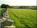 Straight Cotswold stone wall