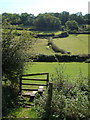 Hedges and fields at Branscombe