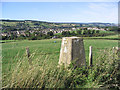 The trig point at Old Howden Strip overlooking Jedburgh