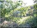 Foel Isaf - A Derelict Farmhouse