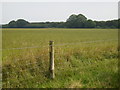 View across field to Behrens Whin