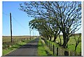 Minor Road Over Drumboy Hill