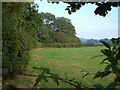 Field beside the Fosse Way south of Axminster