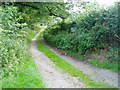 Track to Pen y Bryn