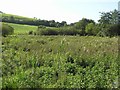 Knocknaroy Townland