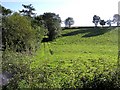 Clontyfallow Townland