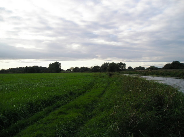 Ings Grassland alongside Pocklington Canal.
