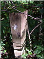 Trail marker in Andrew