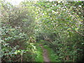 Riverside Path from the Beach towards Bryn-yr-Eryr