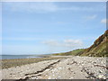 Looking North Along the Foreshore