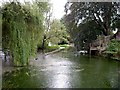 River Test, Wherwell