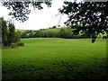 Carricklongfield Townland