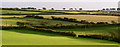 Pembrokeshire Fields near Mathry