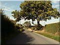 Road to Gestingthorpe from Little Maplestead, Essex