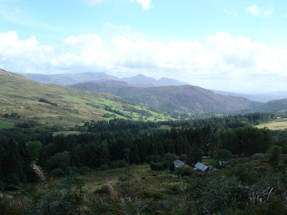View at Parc Cae Mawr