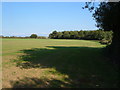 Field on Blackdown Hills