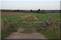 Farmland on the edge of Desford.