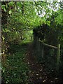 Footpath 1896, Marlpost Wood