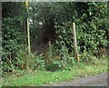 Fingerpost and footbridge on Footpath 1893