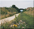 SK0296 : Longdendale Trail with bridge by Stephen Craven