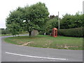 Conkers and Phone Box