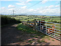 Driveway to Green Dyffryn