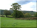 Fields beside former A30 near Combebow