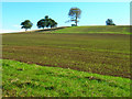 Unnamed Ridge near Abingworth