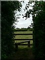 Stile on the footpath to New Town, Talaton