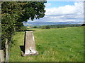 Highgate trig