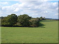 Field near Headson Cross