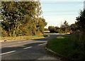 Country road just north of Boreham, Essex