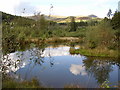 Forestry Pond.