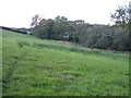 Field near Lower Moor