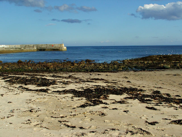 Balintore harbour and beach